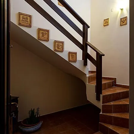 Balazs Szallo * Gyula