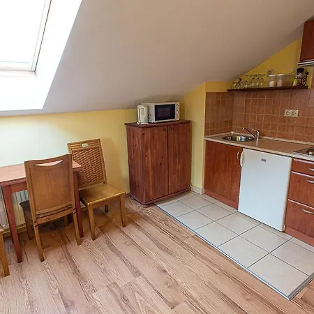 Apartment Balazs Szallo *