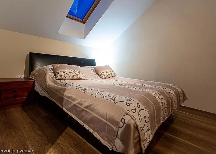 Balazs Szallo דירה *